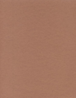 8½ x 11 Solid *Clay Brown* Smooth CARD STOCK Paper