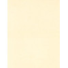 8½ x 11 Solid *Light Ivory* Canvas Textured CARD STOCK Paper