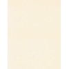 8½ x 11 Solid *Light Eggshell* Smooth CARD STOCK Paper