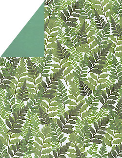 8½ x 11 *Green/Fern Leaves* Double-Sided CARD STOCK Paper