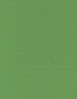 8.5 x 11 Solid *Green* Smooth CARD STOCK Paper