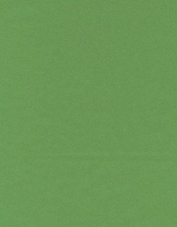 8.5 x 11 Solid *Green* Smooth CARD STOCK Paper
