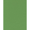 8.5 x 11 Solid *Green* Smooth CARD STOCK Paper