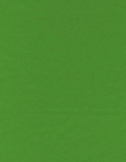 8½ x 11 Solid *Grass Green* Smooth CARD STOCK Paper