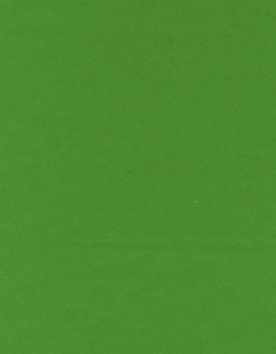 8½ x 11 Solid *Grass Green* Smooth CARD STOCK Paper