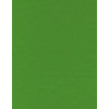 8½ x 11 Solid *Grass Green* Smooth CARD STOCK Paper