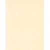 8.5 x 11 Solid *Ivory* Smooth CARD STOCK Paper