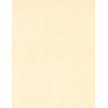 8.5 x 11 Solid *Ivory* Smooth CARD STOCK Paper