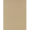 8.5 x 11 Solid *Khaki* Smooth CARD STOCK Paper