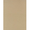 8.5 x 11 Solid *Khaki* Smooth CARD STOCK Paper