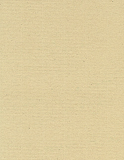 8½ x 11 *Light Tan Kraft* Linen Textured CARD STOCK Paper