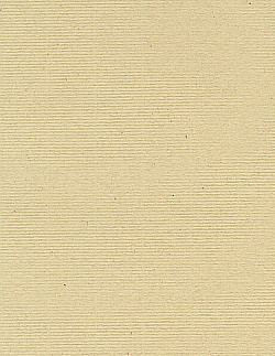 8½ x 11 *Light Tan Kraft* Linen Textured CARD STOCK Paper