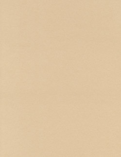 8½ x 11 Solid *Tan* Brushed Finish CARD STOCK Paper