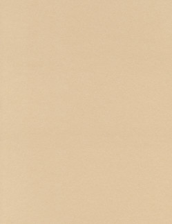 8½ x 11 Solid *Tan* Brushed Finish CARD STOCK Paper