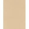 8½ x 11 Solid *Tan* Brushed Finish CARD STOCK Paper