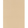 8½ x 11 Solid *Tan* Brushed Finish CARD STOCK Paper