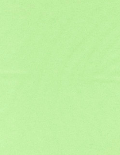 8½ x 11 Solid *Light Green* Smooth CARD STOCK Paper