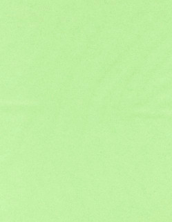 8½ x 11 Solid *Light Green* Smooth CARD STOCK Paper