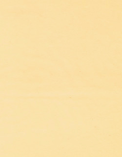 8.5 x 11 Solid *Medium Ivory* Smooth CARD STOCK Paper