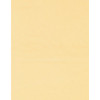 8.5 x 11 Solid *Medium Ivory* Smooth CARD STOCK Paper