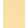 8.5 x 11 Solid *Medium Ivory* Smooth CARD STOCK Paper