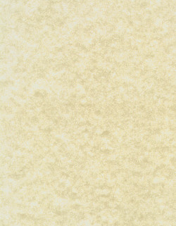 8.5 x 11 *Natural* Parchment Patterned CARD STOCK Paper