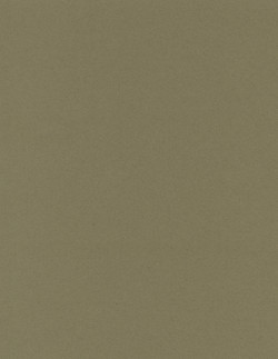 8½ x 11  Solid *Olive Green* Smooth CARD STOCK Paper