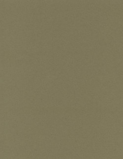 8½ x 11  Solid *Olive Green* Smooth CARD STOCK Paper