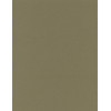 8½ x 11  Solid *Olive Green* Smooth CARD STOCK Paper