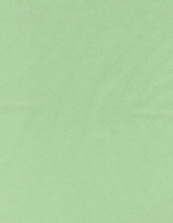 8.5 x 11 Solid *Pale Green* Smooth CARD STOCK Paper