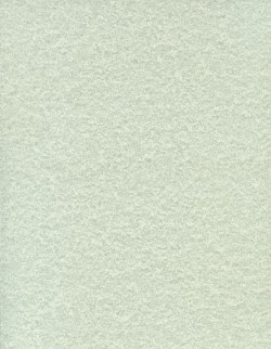 8½ x 11 *Pale Green* Parchment Patterned CARD STOCK Paper
