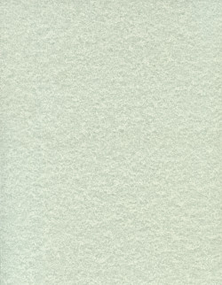 8½ x 11 *Pale Green* Parchment Patterned CARD STOCK Paper