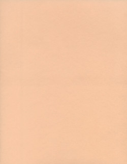 8½ x 11 Solid *Pale Peach* Smooth CARD STOCK Paper