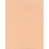 8½ x 11 Solid *Pale Peach* Smooth CARD STOCK Paper