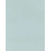 8½ x 11 Solid *Powder Blue* Smooth CARD STOCK Paper