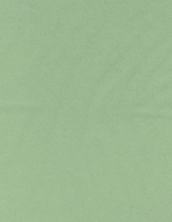 8½ x 11 Solid *Spring Green* Smooth CARD STOCK Paper