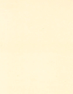 8½ x 11 Solid *Light Ivory* Velour Textured CARD STOCK Paper