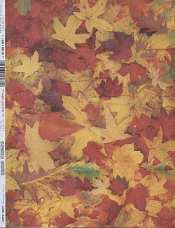 Paper Pizazz® 8½ x 11 *Autumn Leaves* Printed DECORATIVE CRAFT PAPER Sheet