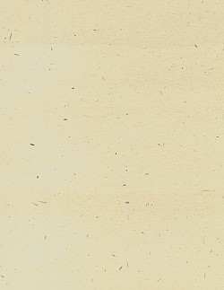 8½ x 11 *Natural Fibers* DECORATIVE CRAFT PAPER Sheet