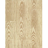 Provo Craft® 8½ x 11 *Natural Pine* DECORATIVE CRAFT PAPER Sheet