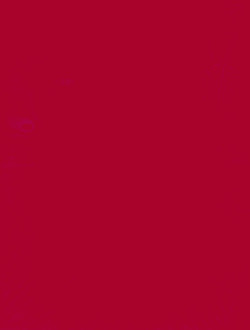 8½ x 11 *Lipstick Red* Multi-Purpose CRAFT PAPER Sheets