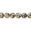 8mm Dalmatian Jasper ROUND Beads