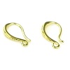 10x22mm Plated Brass EAR HOOKS with Front Loop - Gold