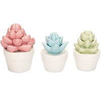 Boston International® Multicolored Glazed 3-Piece "Cactus Crate" (S/16) Ceramic Tabletop Figurines AGC18340