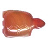 15x20mm Red Agate TURTLE Animal Fetish Bead