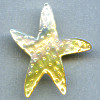 50mm Gold Lip Shell STARFISH Pendant/Focal Bead