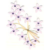 Jolee's Boutique® *Violet Jeweled Flowers* Dimensional Embellishments