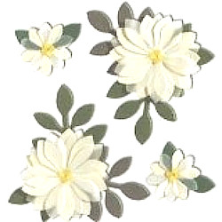 Jolee's Boutique® *Vanilla Flowers* Dimensional Embellishments