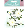 Jolee's Boutique® *Vanilla Flowers* Dimensional Embellishments