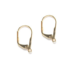 16mm Gold Plated with Bottom Loop LEVERBACK Earring Components